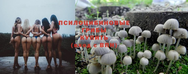 не бодяженный Аркадак