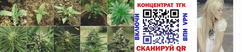 Дистиллят ТГК Wax Пудож