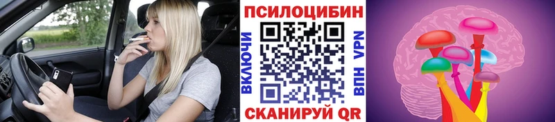 Псилоцибиновые грибы прущие грибы  где продают   Пудож 
